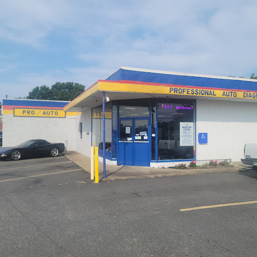 Professional Auto Diagnostics - Visual