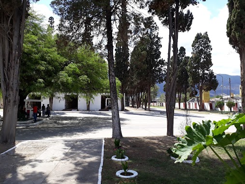 Cementerio San Antonio De Padua, Author: Francisco José Flores