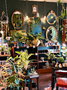 Plant & Pottery Co. 1607 N Monroe St, Hutchinson, KS 67501, United States