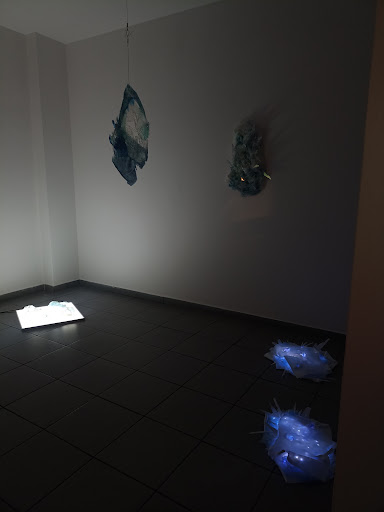 Spazio Iris - Visual