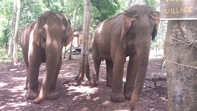 Photos of Mondulkiri Elephant & Wildlife Sanctuary
