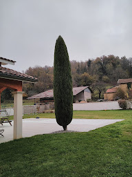 Photo n°11 de L'Ecureuil Perché à Diémoz (Paysagiste)