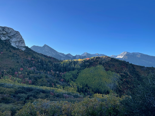 Houndstooth Trailhead - Visual