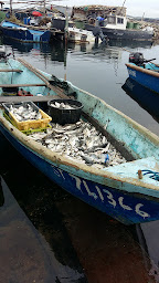 Photo n°23 de La Cabane d'Isa - Chambre d'hôtes à Sète (Hôtel bien-être)