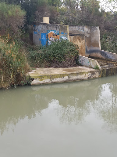 Source de la Rigole dans le Canal - Thumbnail