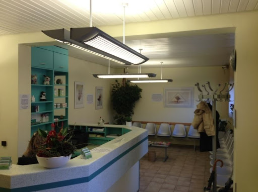 Veterinary practice Dambach - Visual