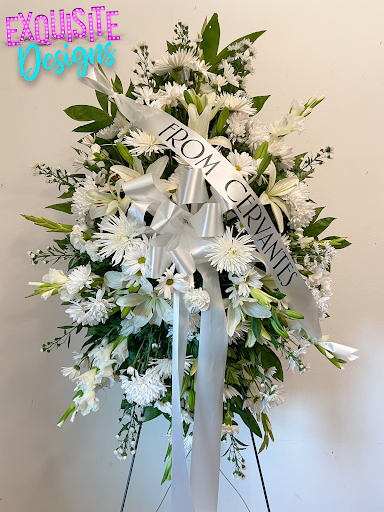 Exquisite Designs - Visual