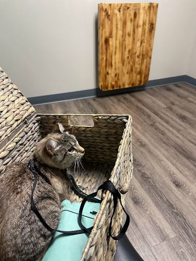 Easthaven Animal Hospital - Thumbnail