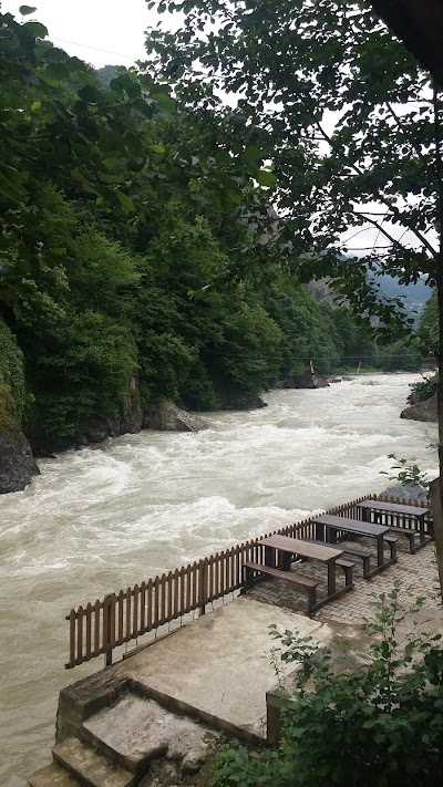 Photos of Nature Rafting
