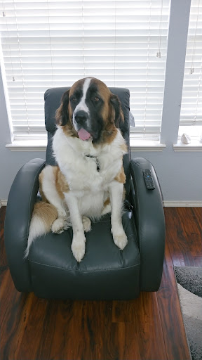 Veterinary Behavior Solutions - Visual