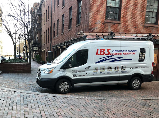 I.B.S. Electronics and Security - Visual