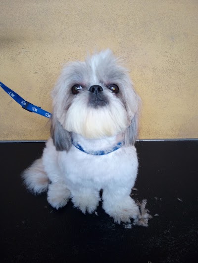Photos of SanaPet peluquer&iacute;a & pet shop