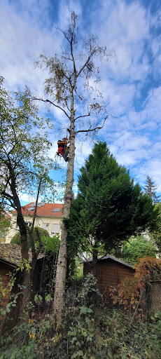 S.O.G Schäfer Objektservice Göppingen - Thumbnail
