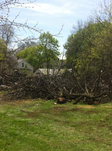 J & S Tree Removal Inc