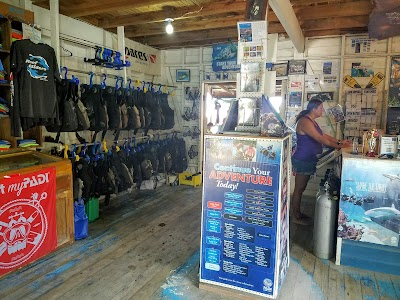 Photos of Reef Gliders Dive Center