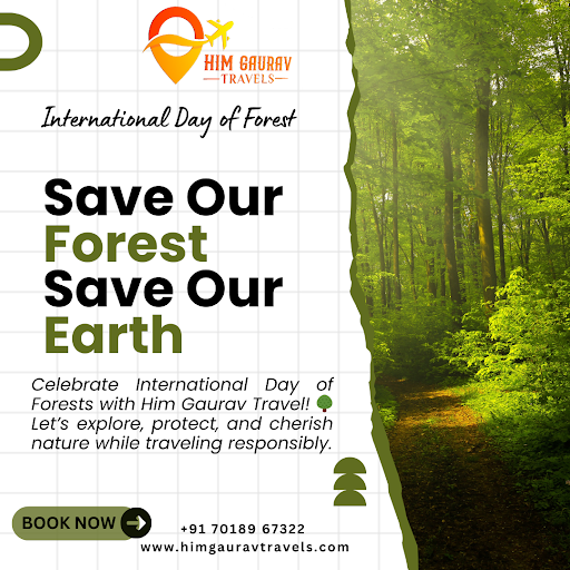 Celebrate International Day of Forests with Him Gaurav Travel!  Let’s explore, protect, and cheri… post image