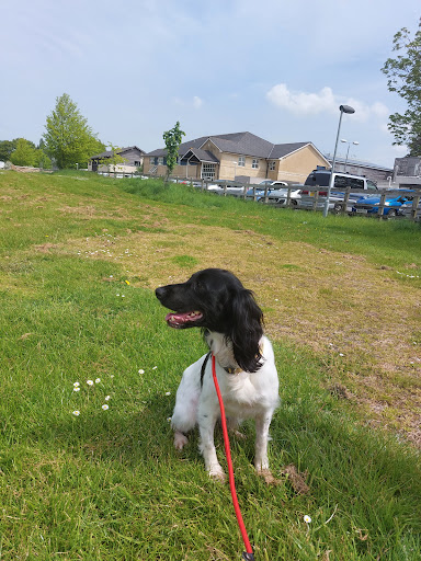 Langford Vets Small Animal Referral Hospital Gallery - United Kingdom