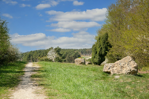 Sandharlandener Heide