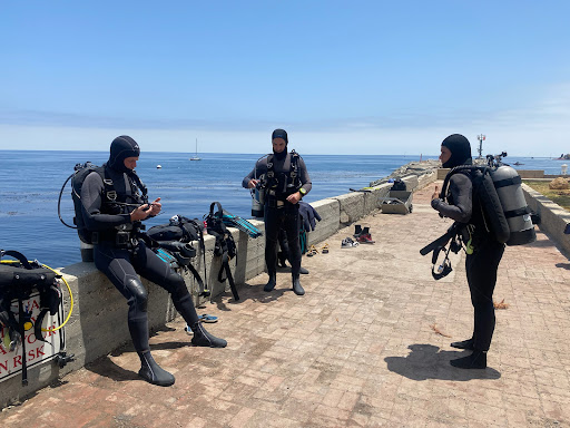 Catalina Scuba - Thumbnail