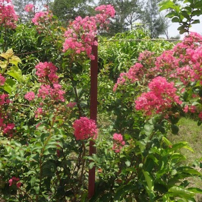 Photos of SWAPNOCHURA THEME PARK