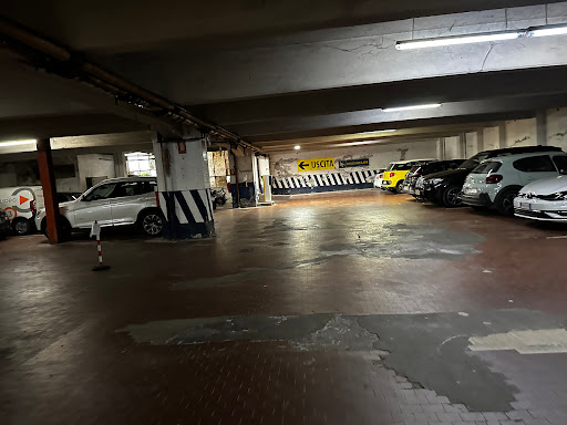 Star Garage Sas