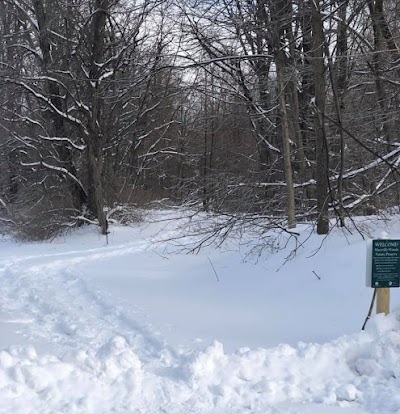 Macyville Woods Nature Preserve