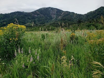 Maples Campground