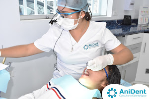 AniDent Clínica Dental 7