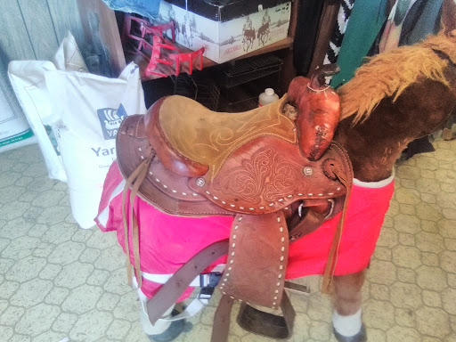 H & E Feeds - Visual