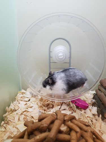 Pets at Home Isle of Wight - Newport