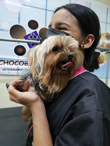 Veterinaria Chocoburbujas