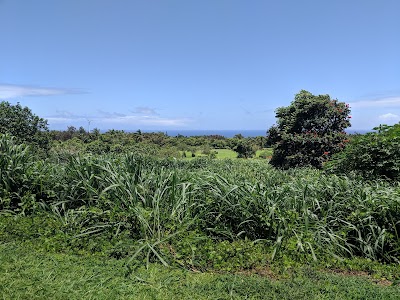 Kohala Swimming Pool