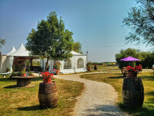 Photo de Camping La Cabane des Frênes à Yves (17340)