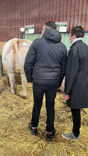 Le Charolais de Provence - Thumbnail