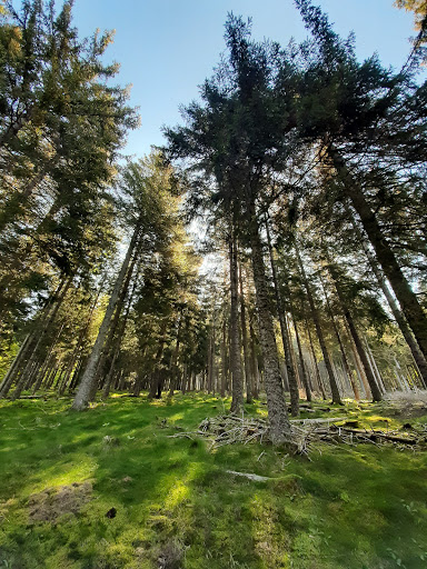Aubrac Margeride Immobilier - Thumbnail