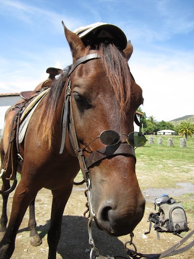 Photos of Cuba Horseback Rides