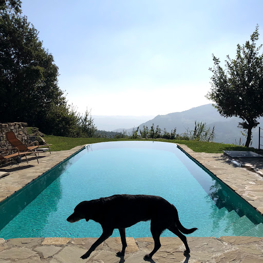 Villa dell'Orso - Thumbnail