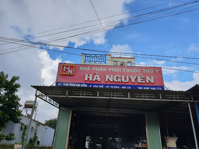 Trại Heo Giống Hà Nguyên