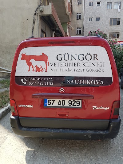 Güngör Veteriner Kliniği