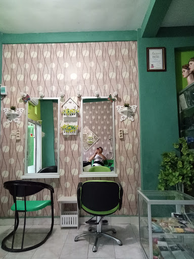 Salon vania