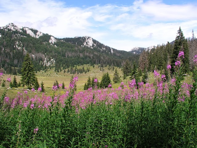 Parc national de Sjeverni Velebit