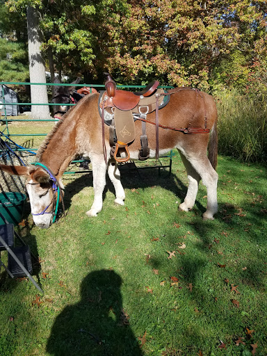 Tripledale Farm, LLC - Thumbnail