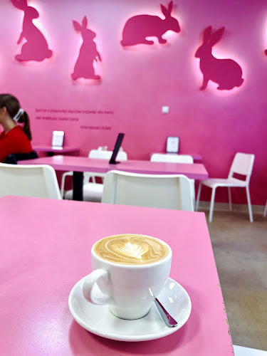 Opinii despre Bunny Cafe - Królicza Kawiarnia [7+] în Kraków - Kawiarnia