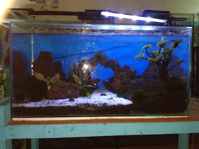 Photos of Rio Aquarium