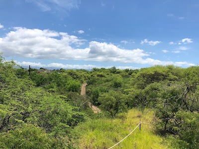 Coral Crater Adventure Park