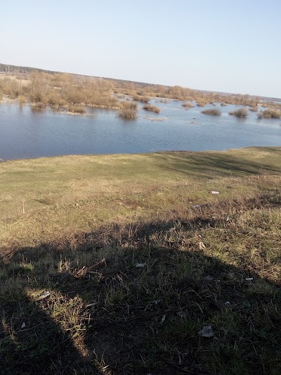 Photos of Zhlobinskii Zoopark Uchrezhdenie