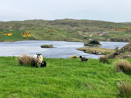 Fair Head Car Park - Thumbnail