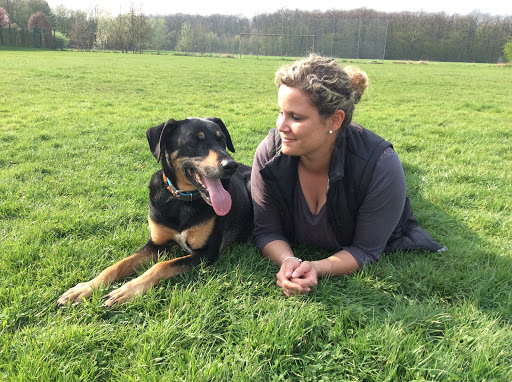 Britta Heitmann Hundephysiotherapie und Verhaltenstraining