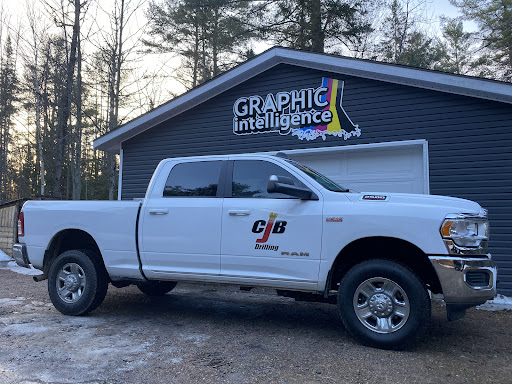 Graphic Intelligence - Visual