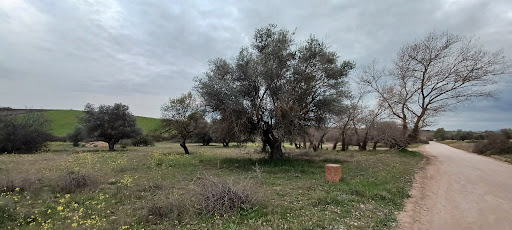 Camino de las aguas de Riaza.